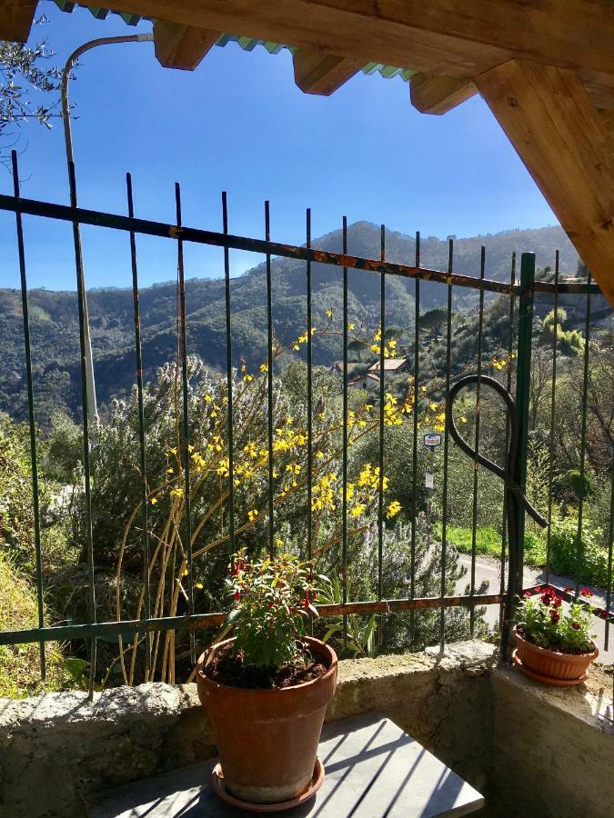 Il Nido Della Rondine Bed and Breakfast Leivi Exteriör bild